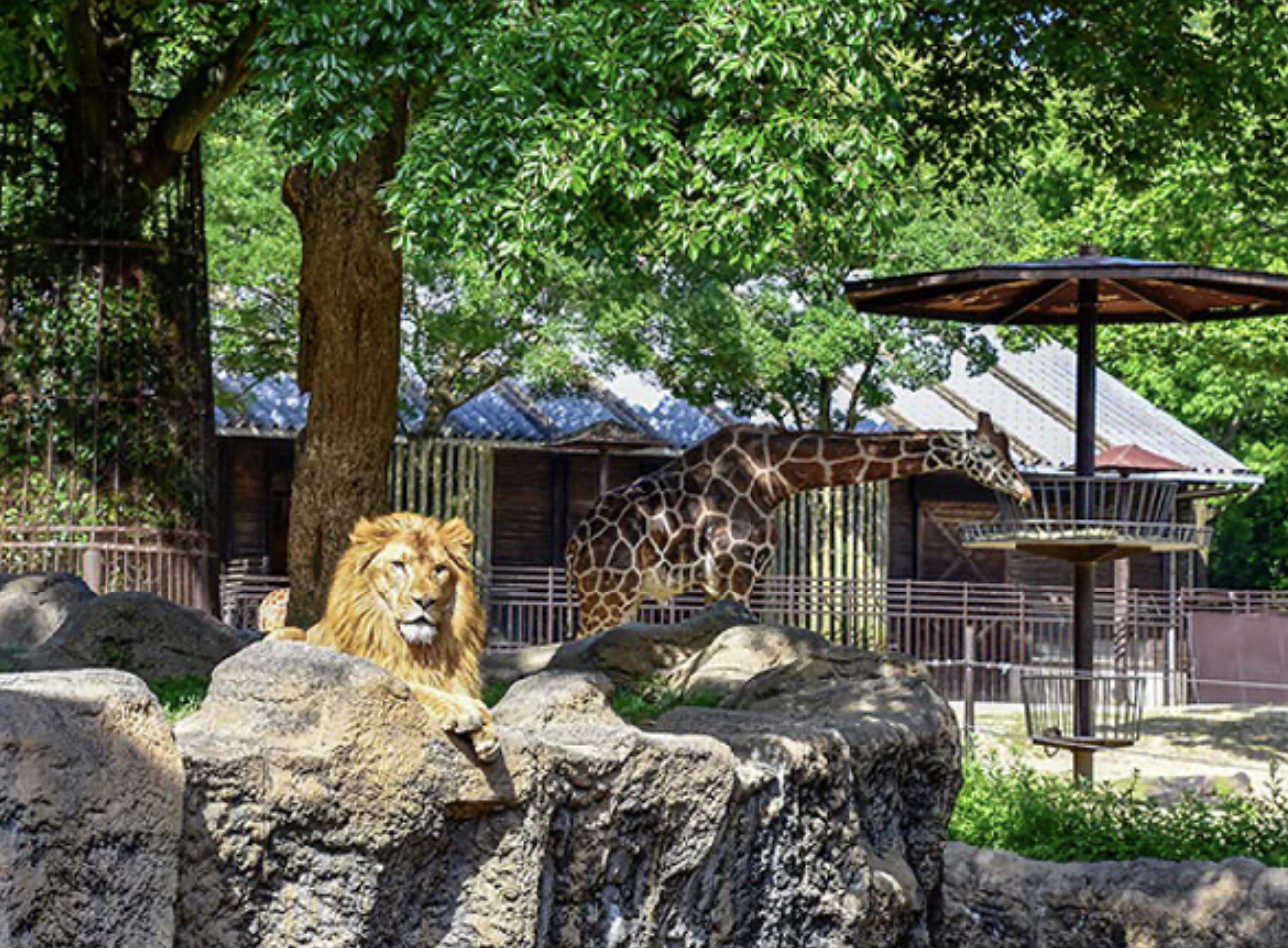 愛媛県立とべ動物園　観光