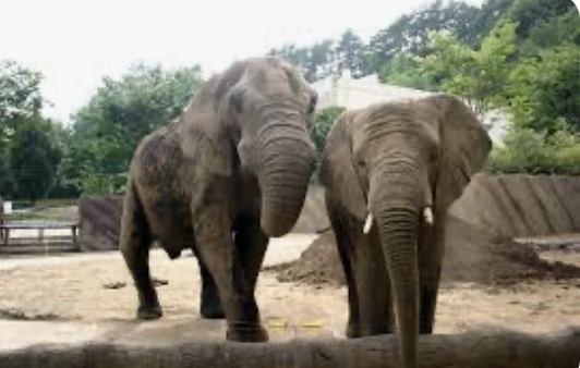 盛岡市動物公園　デート