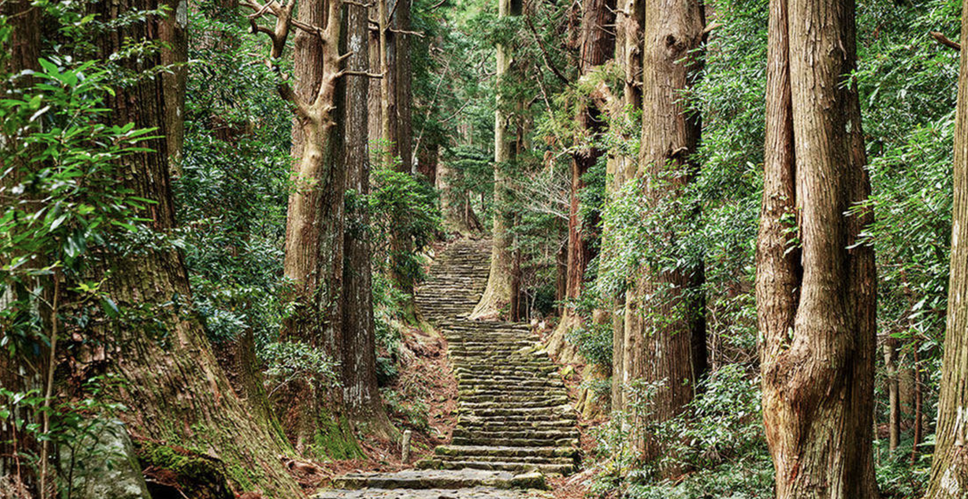 熊野古道　デート