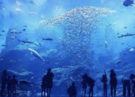 仙台うみの杜水族館