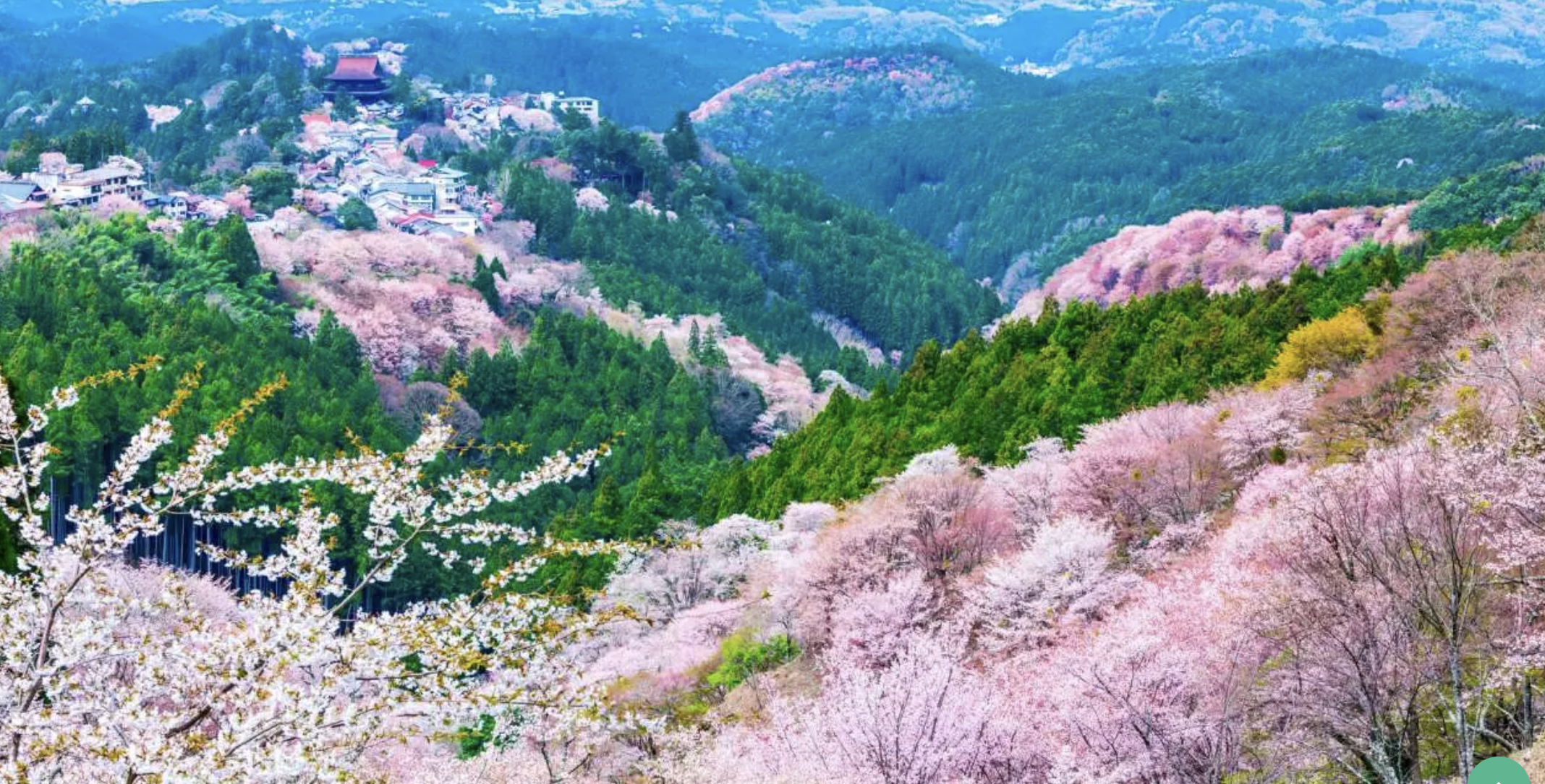 吉野山　観光