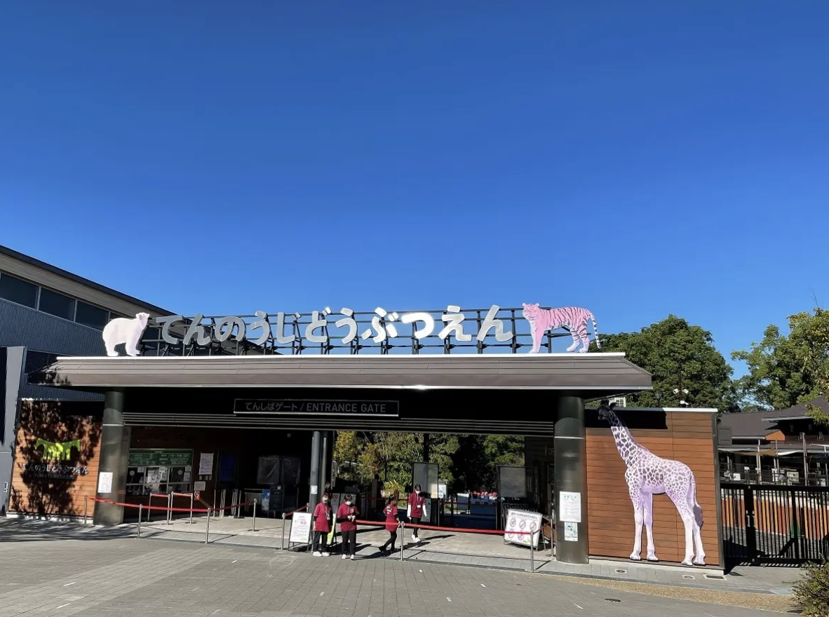 天王寺動物園　デート