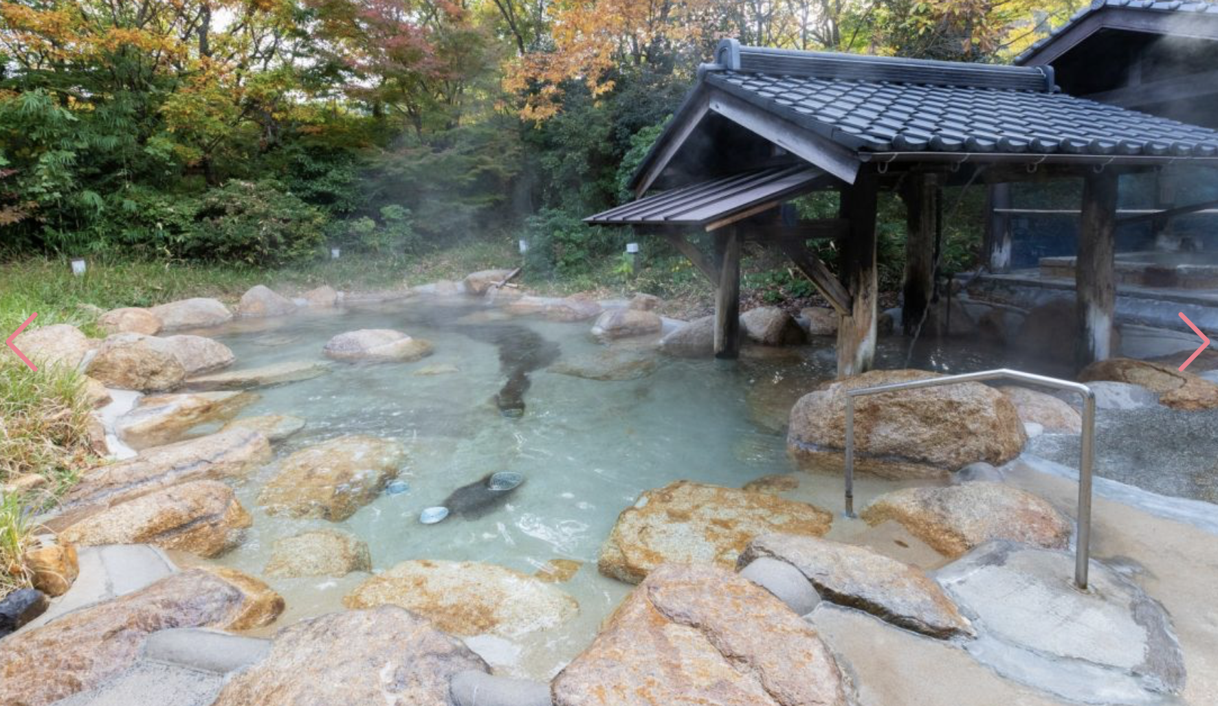 斐川温泉　旅行