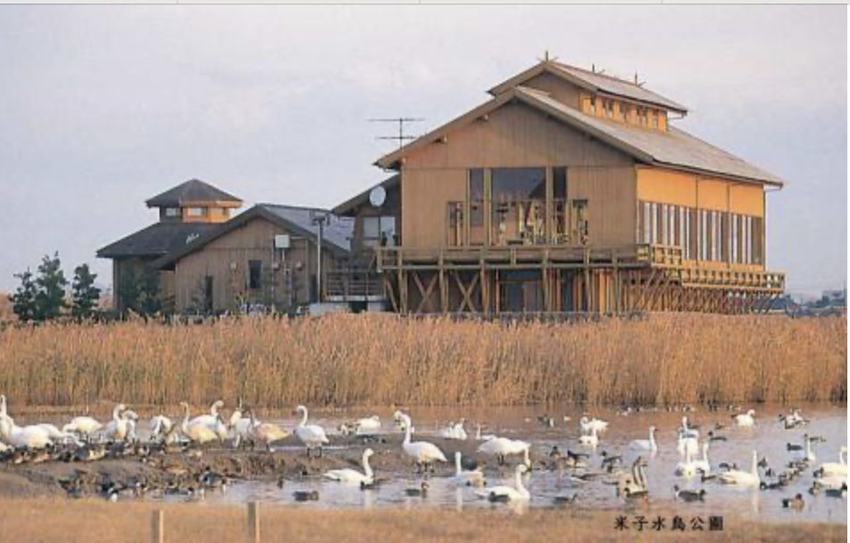 米子水鳥公園　観光