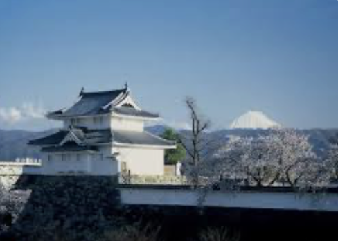 甲府城跡　観光